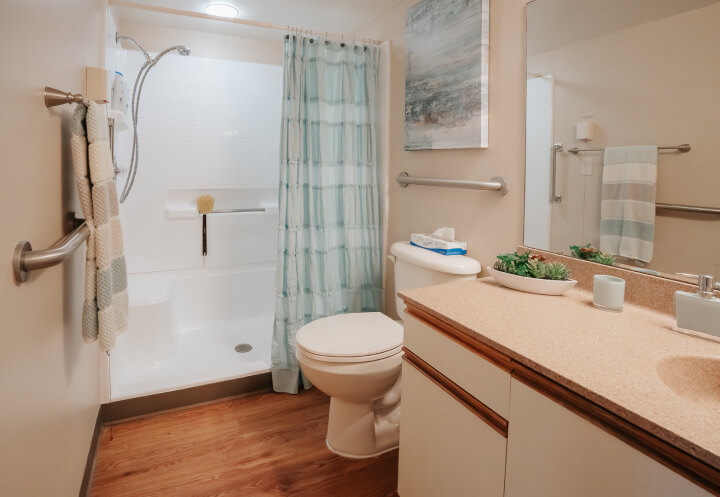 Accessible Bathroom with Grab Bars at Independent Living Facility Accessible Bathroom with Grab Bars at Independent Living Facility