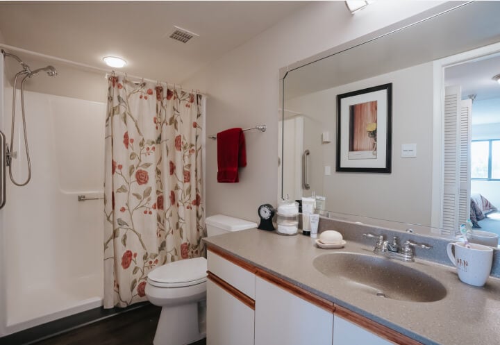 Clean Bathroom with Shower and Vanity at Assisted Living Facility Clean Bathroom with Shower and Vanity at Assisted Living Facility
